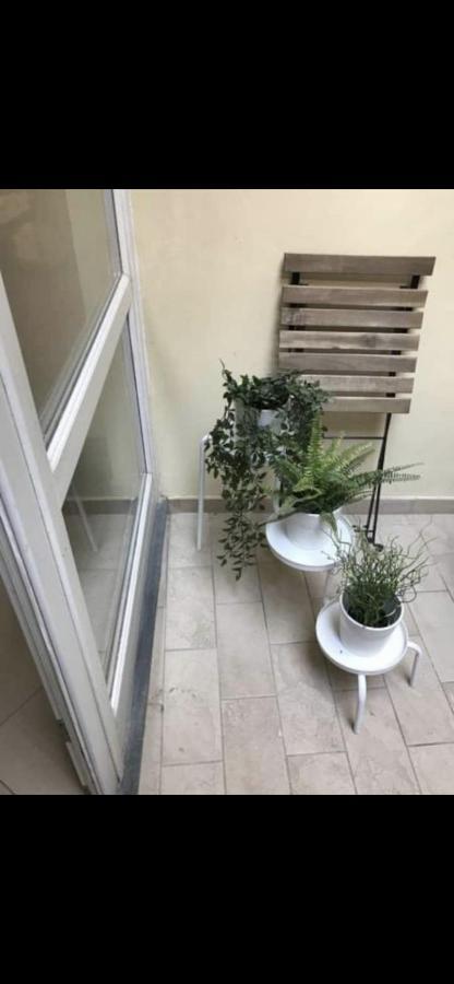 דירות פיזה Delizioso Bilocale In Centro Storico מראה חיצוני תמונה